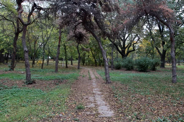 Senderos Parque Otoño — Foto de Stock