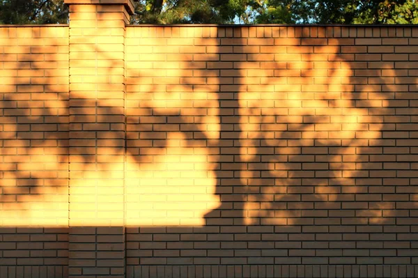 sun rays and shadow on the wall