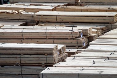 Odessa, Ukrayna Mart, 17.2021 Bir gemiden indikten sonra limanda orman
