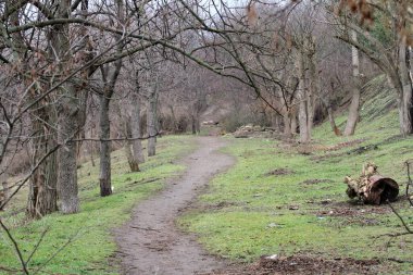 Bahar parkında patika