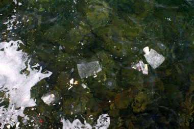 Denizde çöp. Kirli su