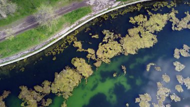 İnsansız hava aracından parktaki suya olan manzara.