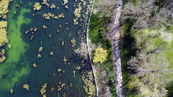 Stigar Parken Nära Vattnet Filmade Från Drönare — Stockfoto