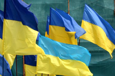 çok sayıda Ukrayna bayrağı