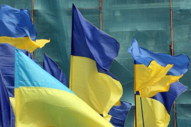 çok sayıda Ukrayna bayrağı