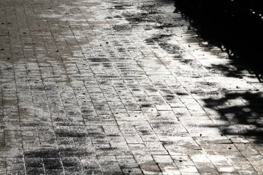 Fayanslar yağmurdan sonra güneşte parlar.