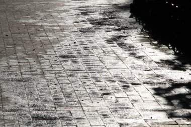 Fayanslar yağmurdan sonra güneşte parlar.