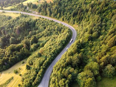 Kozalaklı orman yolu ve arabalardan insansız hava aracı görüntüsü.