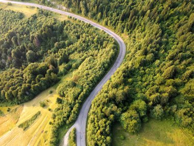 Ormandaki yolun havadan görünüşü