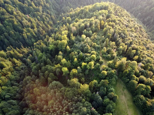 Vista Desde Dron Bosque Las Montañas — Foto de Stock