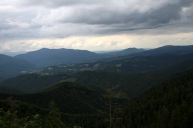 Orman ve bulutlar dağ manzarası