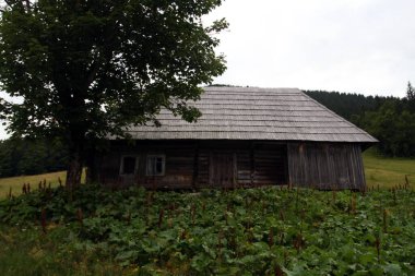 Dağlarda terk edilmiş eski ahşap bir ev