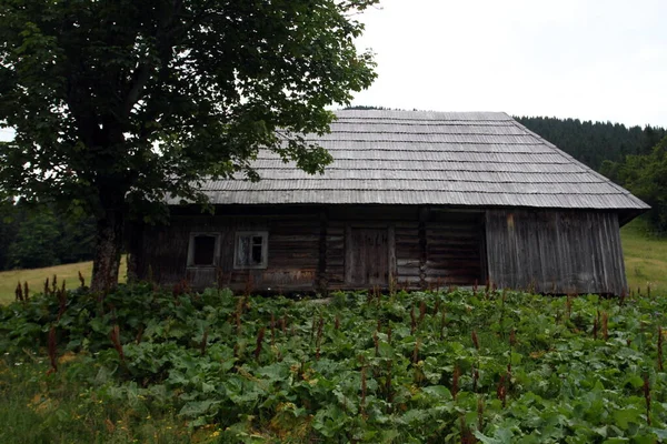 Velha Casa Madeira Abandonada Nas Montanhas — Fotografia de Stock