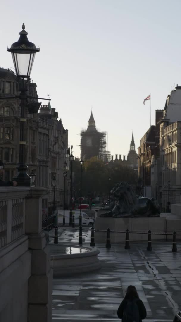 Kijkend Naar Beneden Whitehall Van Trafalgar Square Tijdens Lockdown Ochtend — Stockvideo