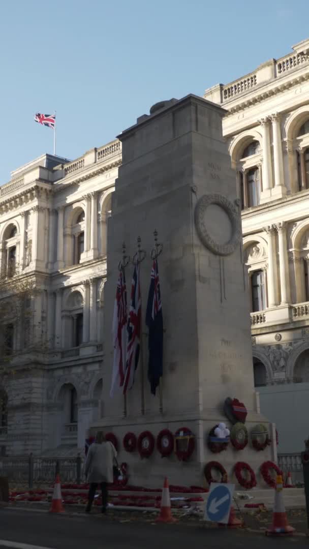 Cenotaph Remembrance Wreaths Вертикальное Видео Утерянное — стоковое видео