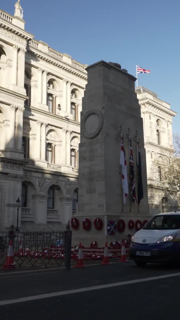 Cenotaph Remembrance Wreaths Morning Вертикальное Видео Утерянное — стоковое видео