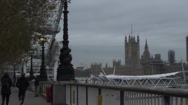 Seagulls Standing Railing Southbank Downcast Day London Inglés Cerrado — Vídeo de stock