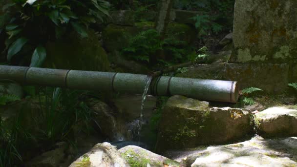 Flux Eau Courante Sur Bambou Dans Jardin Zen Japonais Verrouillé — Video