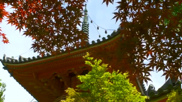 Mitaki Dera Temple View Red Maples Leaves Ángulo Bajo Bloqueado — Vídeo de stock