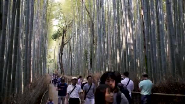 Czas Upływa Turystom Odwiedzającym Arashiyama Bamboo Grove Kioto Zamknięte — Wideo stockowe