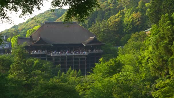 Prachtig Uitzicht Kiyomizu Dera Tempel Omgeven Door Weelderige Bosbomen Afgesloten — Stockvideo