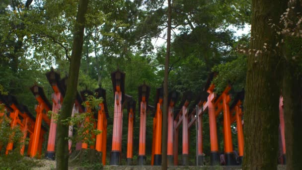 Side View Looking Line Red Torii Gates Fushimi Inari Taisha — Stock Video