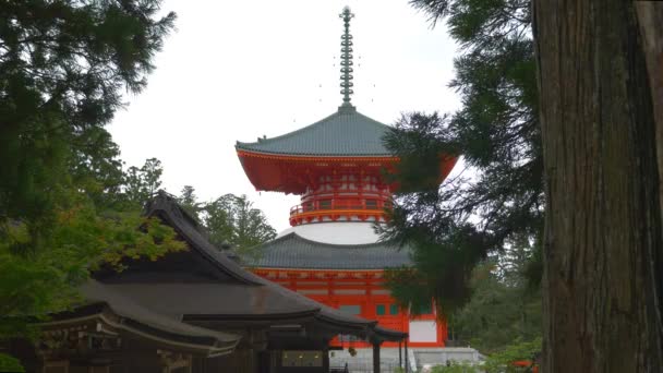 Konpon Daito Pagoda Kondo Hall — 비디오