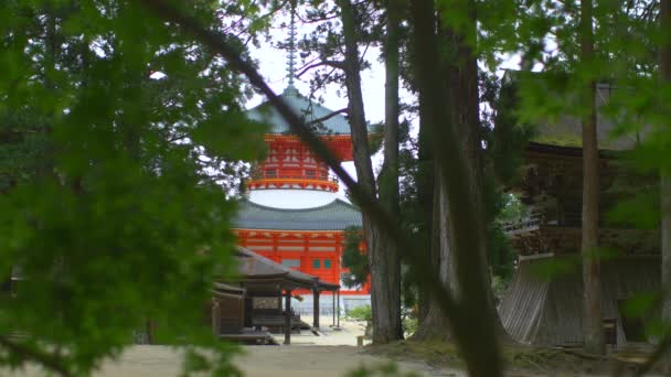 Konpon Daito Pagoda Seen Trees Kondo Hall Locked — Stock Video