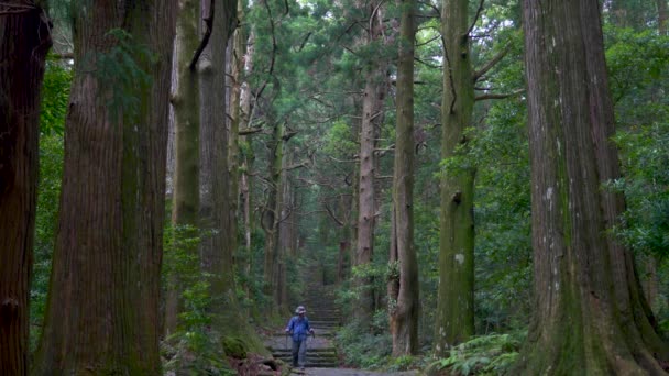 Adult Male Hiker Walking Steps Koyasan Pilgrimage Trail Japan Inglés — Vídeos de Stock