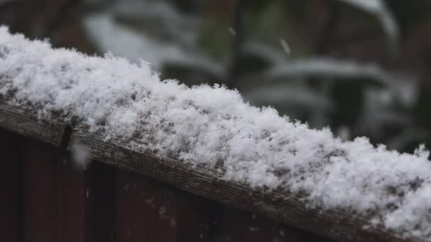 Snöflingor Faller Staketet Närbild Låst — Stockvideo