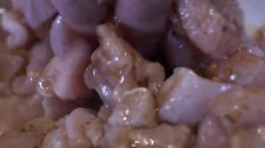 Raw Marinated Chicken Pieces ile Fingers 'ı karıştırıyorum. Kapat, Kapalı