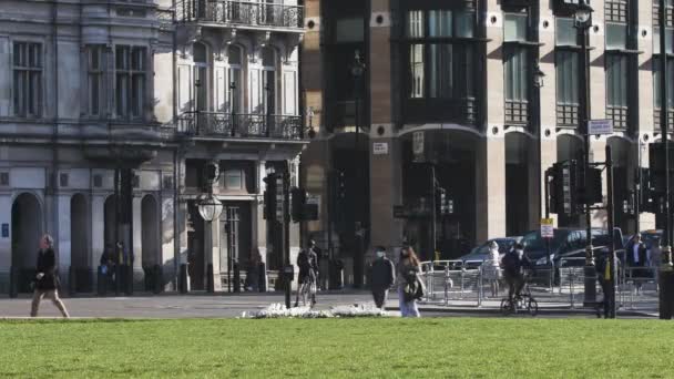 Kobiety Przemierzające Plac Parlamentu Zatrzymujące Się Przy Bukiecie Kwiatów Trawie — Wideo stockowe