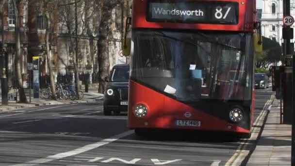 ロンドンのミルバンク ロードを通るロンドン レッド バスとブラック タクシー ロックオフ — ストック動画