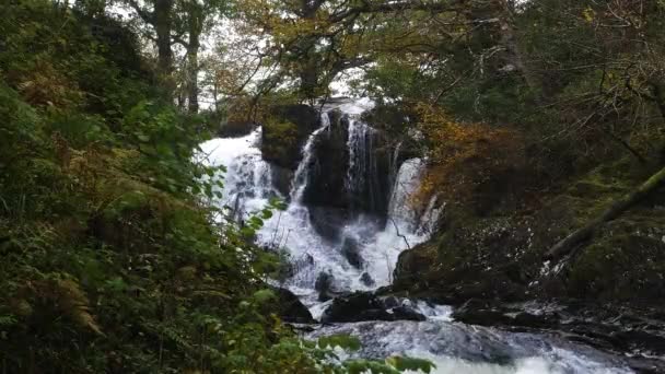 Cascata Rhaeadr Ewynnol Swallow Falls Bloccato — Video Stock