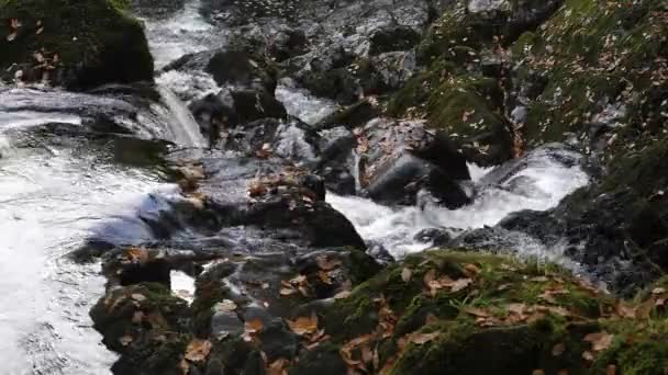 Acqua Che Scorre Sulle Rocce Swallow Falls Galles Bloccato — Video Stock
