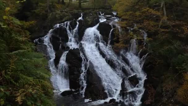 Cascata Swallow Falls Che Scorre Lungo Rockface Nel Galles Del — Video Stock