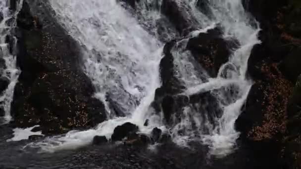 Acqua Che Scorre Lungo Rockface Swallow Falls Bloccato — Video Stock