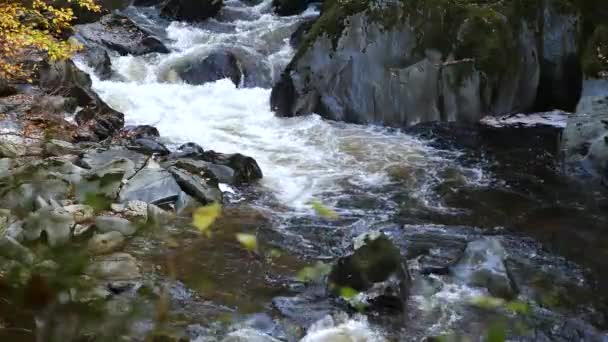 Fast Flowing Water Akıyor Afon Conwy Galler Kilitli — Stok video