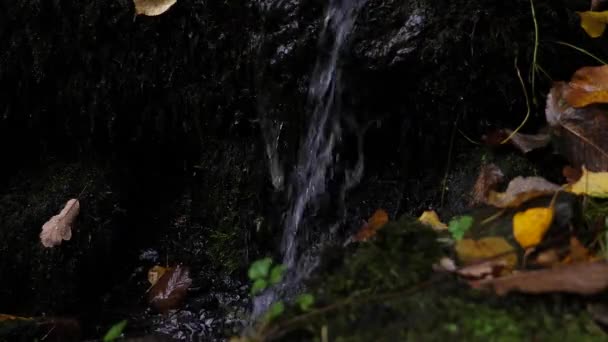 Wasser Strömt Die Moosbedeckte Felswand Hinunter Abgeriegelt — Stockvideo