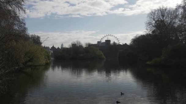ロンドン アイを背景にセント ジェームズ パーク湖に架かる橋からの朝の景色 — ストック動画