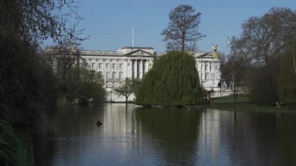 セントジェームズ公園から見たバッキンガム宮殿 パークブリッジインザモーニング — ストック動画