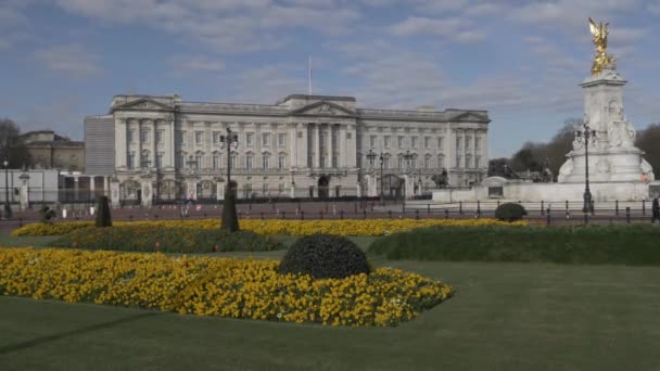 Front Flower Bed Garden Kívül Buckingham Palace Reggel — Stock videók