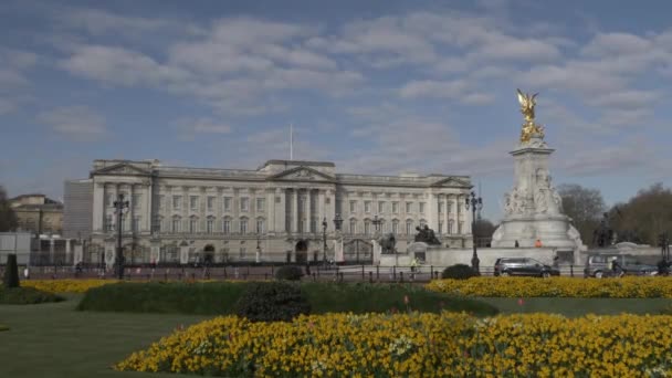 Vista Mañana Del Jardín Frente Cama Flores Las Afueras Buckingham — Vídeo de stock