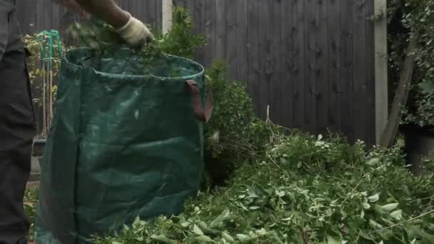 Dospělí Muži Umísťují Nůžky Živý Plot Velkého Zeleného Pytle Odpadky — Stock video