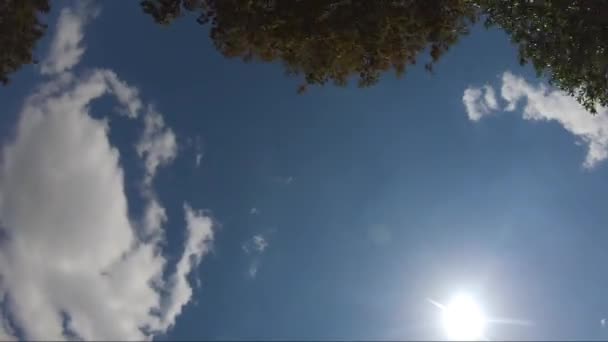 Pov Dirigindo Olhando Para Cima Céu Azul Passando Por Árvores — Vídeo de Stock