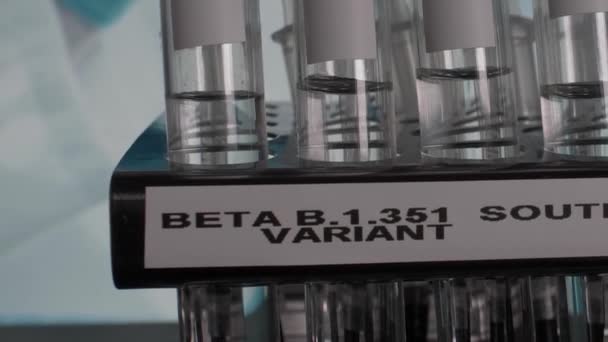 Close Beta 351 South Africa Variant Test Tube Vials Pan — Stockvideo
