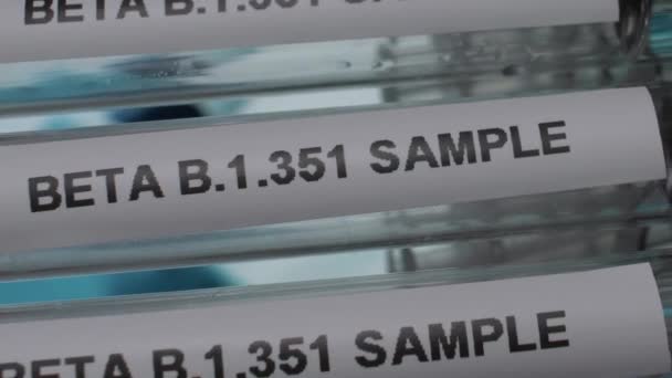 Beta 351 South Africa Variant Test Tube Vials Rack Vertical — Αρχείο Βίντεο