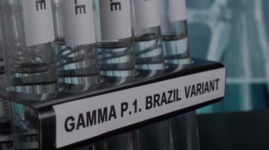 Gamma P.1 Brazil Variant Test Tube Sample Vials In Rack. Pan Up,  Close Up