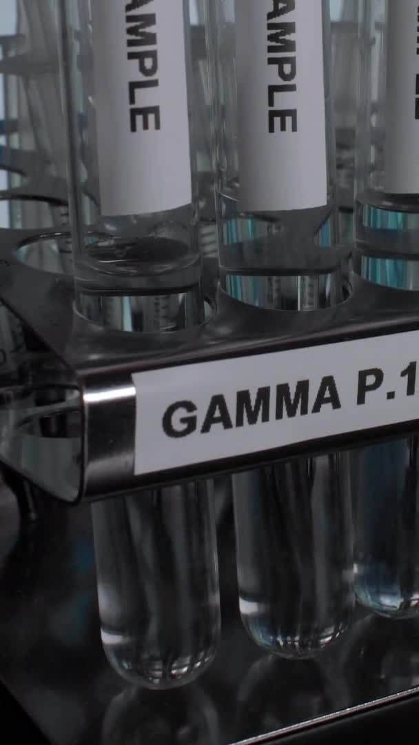 Gamma Brazil Variant Test Tube Sample Vials Rack Pan Close — Αρχείο Βίντεο