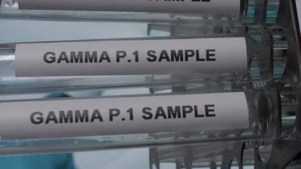 Gamma 1巴西变型试管样本Vials Rack 垂直录像 向下倾斜 — 图库视频影像